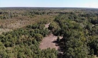 Broxton Bridge Road, Bamberg, SC 29003