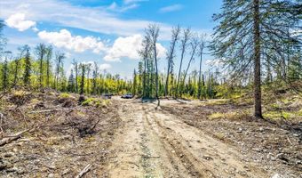 25275 W Susitna Pkwy, Big Lake, AK 99652
