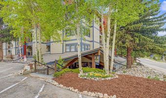 107 N Harris St 209, Breckenridge, CO 80424