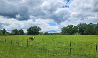 305 STOLLE FARM Rd Metes and bounds, Ashville, AL 35953