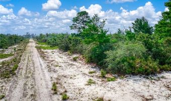 5300 E Devilwood St, Avon Park, FL 33825