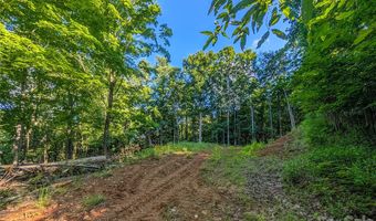 Amber Ranches 47, Bakersville, NC 28705