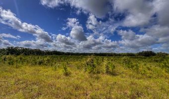 7009 129 Hwy, Bell, FL 32619