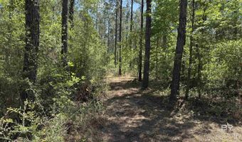 Ronald Sanks Road, Bay Minette, AL 36507