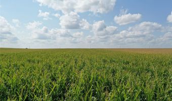 Marsh Avenue, Allison, IA 50602