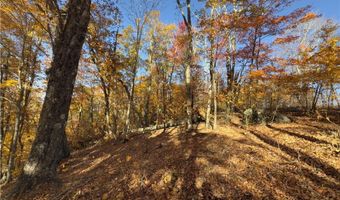 Tbd Larkspur Trail, Banner Elk, NC 28604