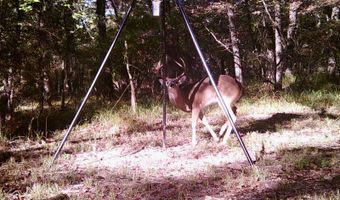 13489 S Center Point Rd, Atoka, OK 74525