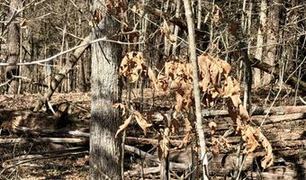 2 Shain Dr, Bardstown, KY 40004