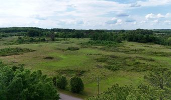 Beauty Hill Rd lot 1, Bethel Springs, TN 38315