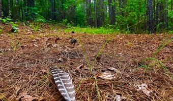 Arthur Drive, Brookhaven, MS 39601