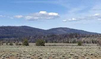 Oregon Pines Road TL 2000, Beatty, OR 97621