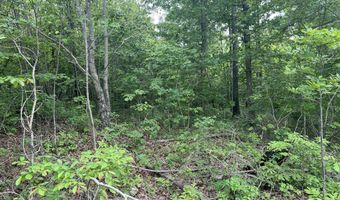 State Highway U, Ava, MO 65608