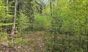 Province Road lot 26, Belmont, NH 03220