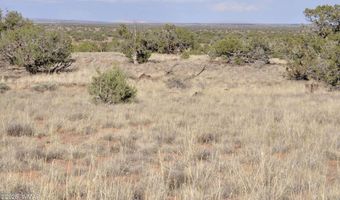 10 N9228, Concho, AZ 85924