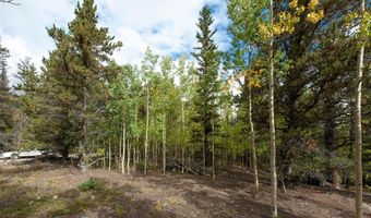 452 QUARTZVILLE Rd, Alma, CO 80420