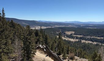 0 County Road 787, Alma, CO 80420