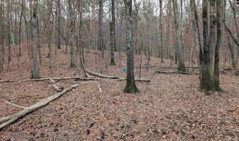 Lots B & C Miller Road, Camden, SC 29020
