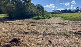 Tract 2 Hwy 51S, Homer, GA 30547