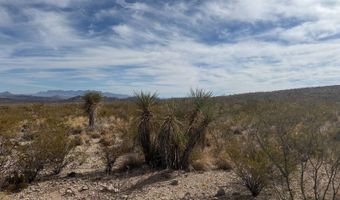 100 Killingsworth Rd, Alpine, TX 79830