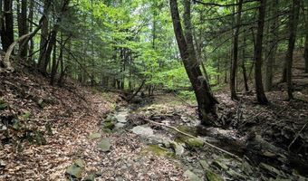 Stewart Road, Addison, NY 14801
