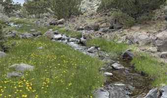 Wall Canyon Reservoir Road, Gerlach, NV 89412