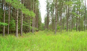 Lot 3 TBA MELITA RD 3, Arvonia, VA 23004