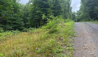 TR D-15 DEER PATH Road, Augusta, WV 26704