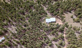 41 Susan Ln, Angel Fire, NM 87710