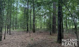 TBD-0 Yeldell Rd, Bastrop, LA 71220
