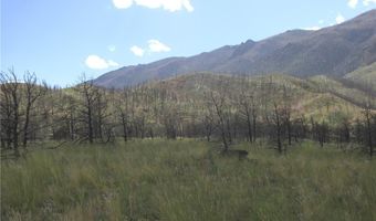 nhn Ranger Way lot Bvr 942-3, Belfry, MT 59008