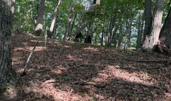 572 Dameron Rd, Ballard, WV 24918