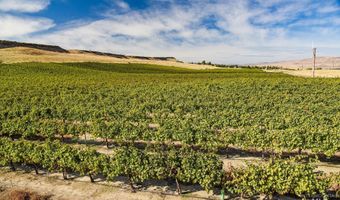 73809 Rattlesnake Rd, Arlington, OR 97812