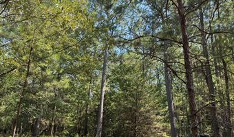 1324 Highway 81 N, Calhoun Falls, SC 29628
