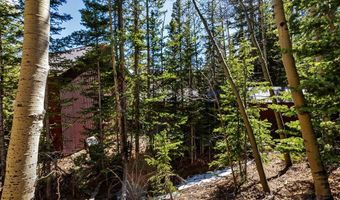 270 Co Rd 667 Lot 0, Alma, CO 80440