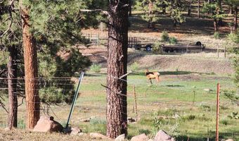 54 1st N St, Alpine, AZ 85920