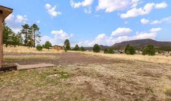 4 County Road 2110, Alpine, AZ 85920