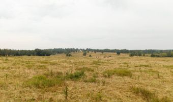 1350 County Road 405, Alton, MO 65606