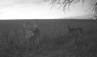 00000 CR 140, Alexander, KS 67513