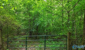 Unit # 0 Murphree Valley Road, Altoona, AL 35952