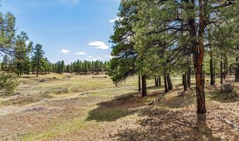 841 Beaver Creek Dr, Bayfield, CO 81122