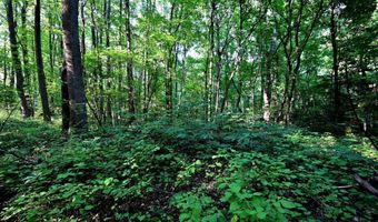 RICHARD ALLEN Street, Aquasco, MD 20608