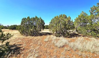20 CO Rd, Concho, AZ 85924