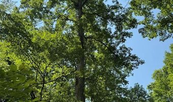 Cr 244, Abbeville, MS 38601
