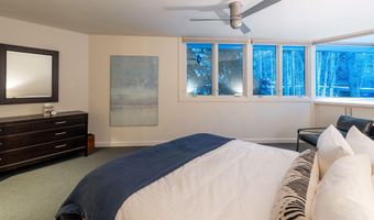 506 W Hallam St, Aspen, CO 81611