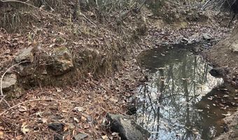 11 Acres RISER MILL ROAD Lot 11 Acres, Alpine, AL 35014