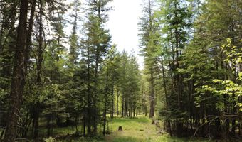 Nhn Black Wolf Trail, Bigfork, MT 59911