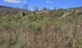 Tbd Clear Fork Creek Road, Bastian, VA 24314