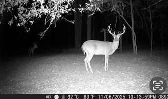 County Road 72, Ariton, AL 36311