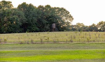 100 Acres Harmony Church Rd, Andalusia, AL 36421
