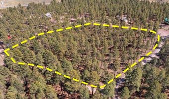 County Road 2325, Alpine, AZ 85920